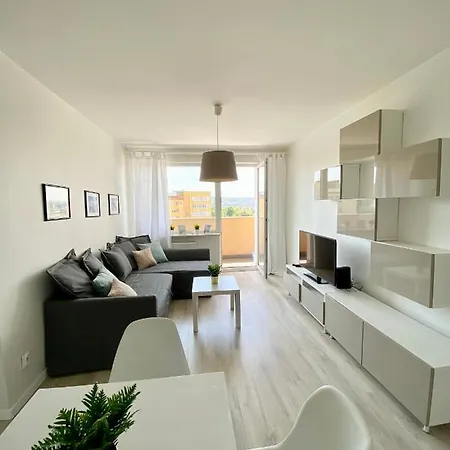 Srodmiescie Apartment *